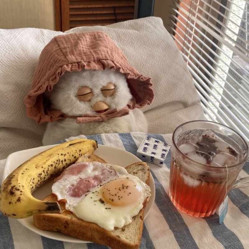 ちょこの写メ