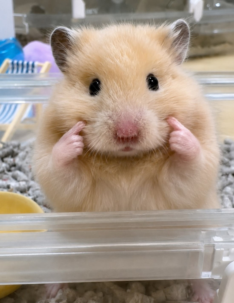 ちょこの写メ