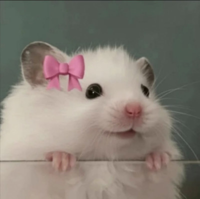 ちょこの写メ