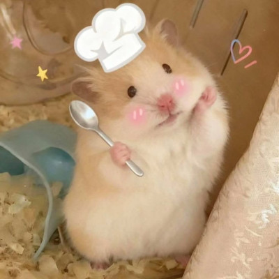 ちょこの写メ