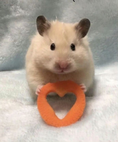 ちょこの写メ