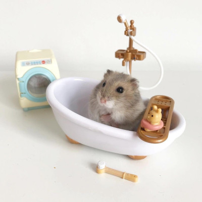 ちょこの写メ