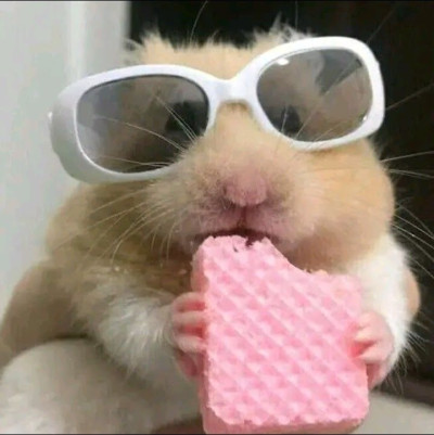 ちょこの写メ