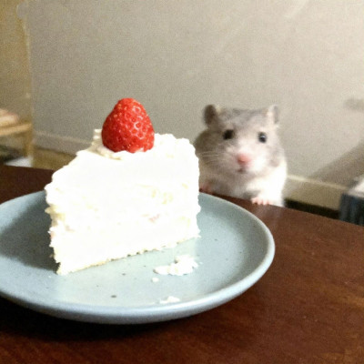 ちょこの写メ