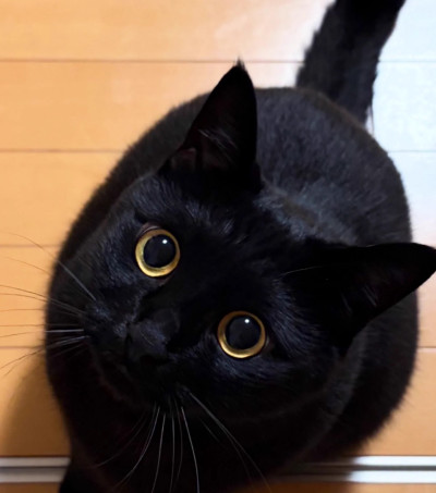 こはくの写メ