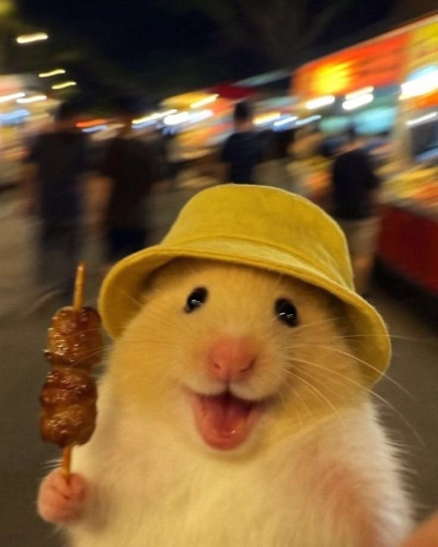 ちょこの写メ